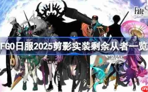 FGO日服2025剪影实装剩余从者一览-FGO日服2025剪影实装还剩下哪些从者