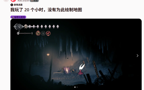《空洞骑士：丝之歌》玩家20小时未购羽笔 只为解锁特殊颜色