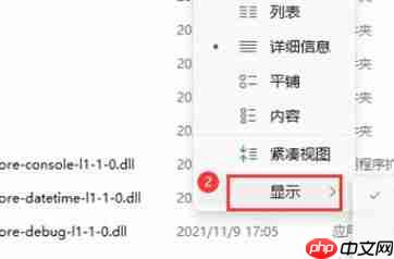 Win11如何展示文件扩展名？Win11展示文件扩展名的方法