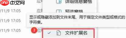 Win11如何展示文件扩展名？Win11展示文件扩展名的方法