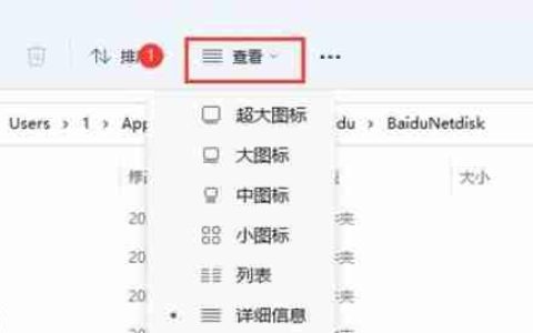 Win11如何展示文件扩展名？Win11展示文件扩展名的方法