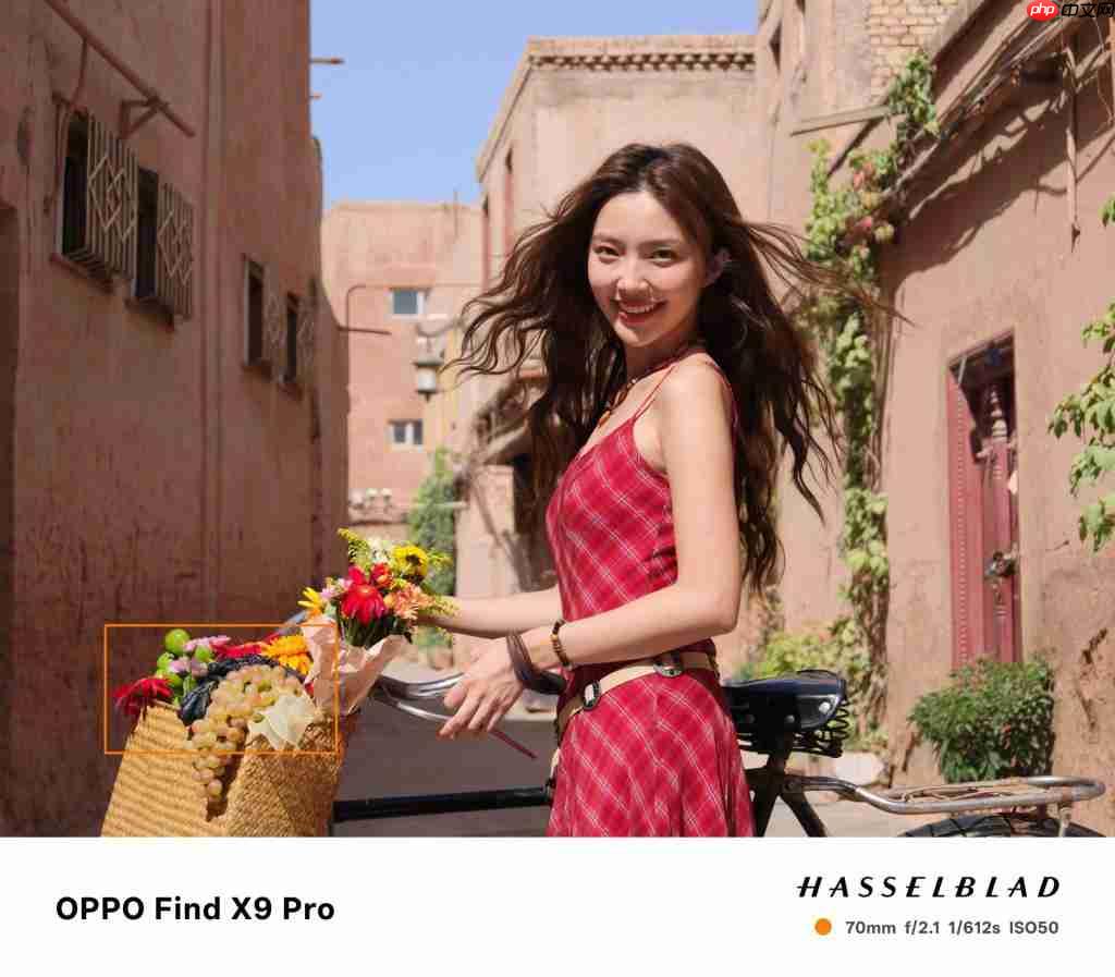 画质革命!OPPO Find X9 系列释出 2 亿像素样张