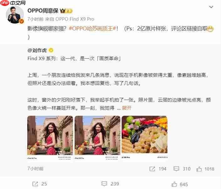 画质革命!OPPO Find X9 系列释出 2 亿像素样张
