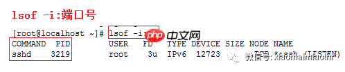 如何查看端口被哪个进程占用？