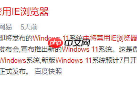 Windows 11彻底禁用IE浏览器，网银系统，政府网站如何兼容Chrome和Firefox等浏览器？