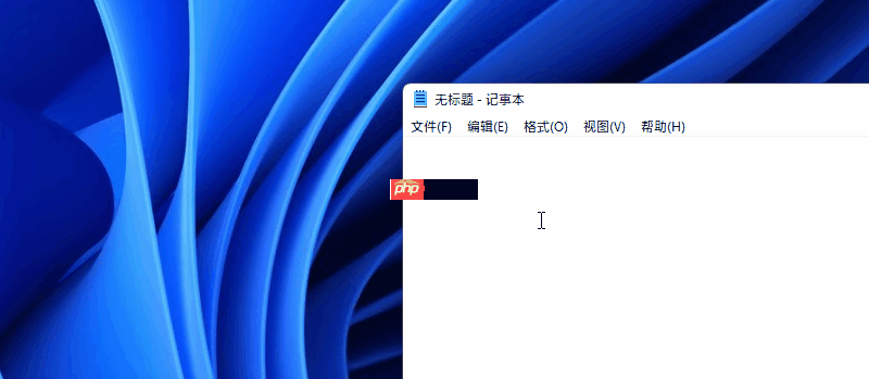 Win11的快捷键有哪些?Win11快捷键大全