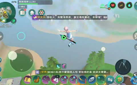 轻松征服天空：魔法权杖悬浮术与飞行坐骑驯养终极指南