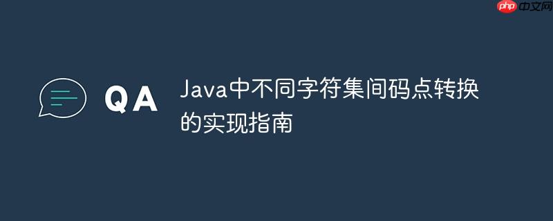 Java中不同字符集间码点转换的实现指南