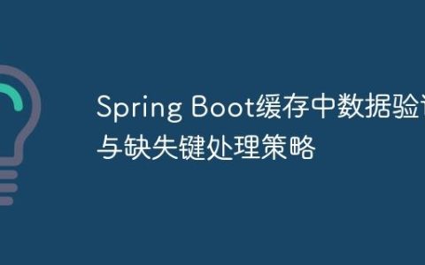 Spring Boot缓存中数据验证与缺失键处理策略