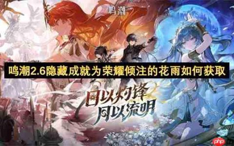 鸣潮2.6隐藏成就为荣耀倾注的花雨如何获取