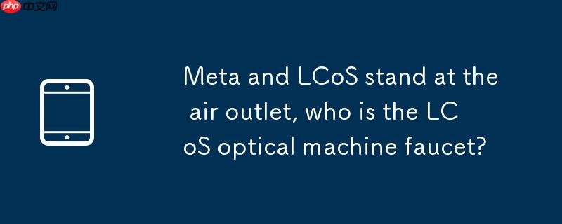 meta 携 lcos 站上风口,谁是 lcos 光机龙头?