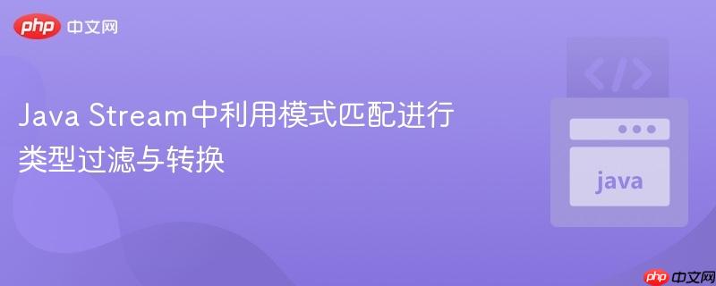 java stream中利用模式匹配进行类型过滤与转换