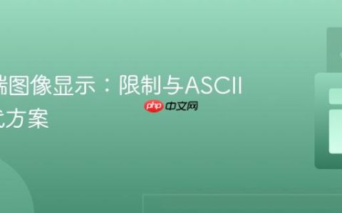 Java终端图像显示：限制与ASCII艺术替代方案