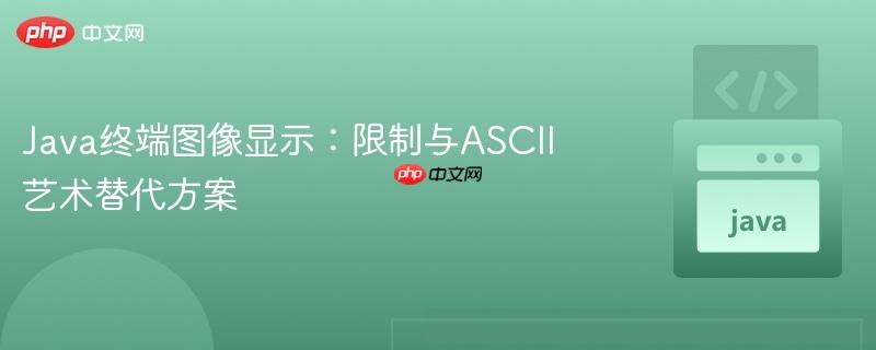 Java终端图像显示:限制与ASCII艺术替代方案