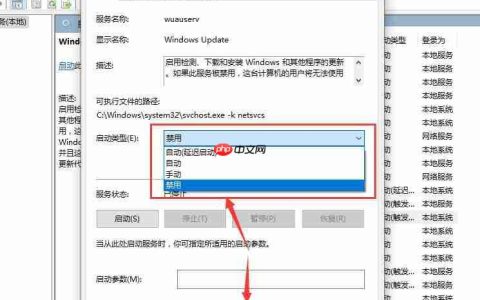Win10 1909关闭更新后自动打开该如何解决？