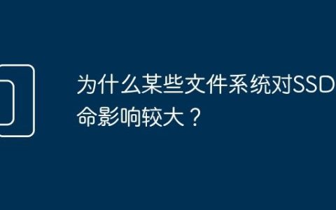 为什么某些文件系统对SSD寿命影响较大？