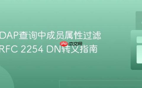 Java LDAP查询中成员属性过滤失败：RFC 2254 DN转义指南
