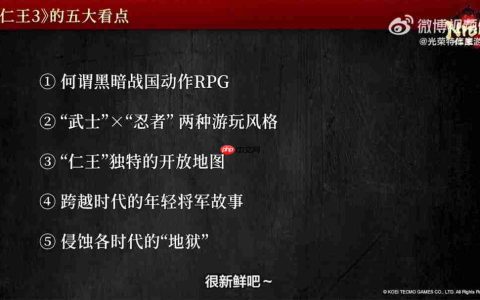 《仁王3》TGS 2025官方直播完整回放 五大看点解析