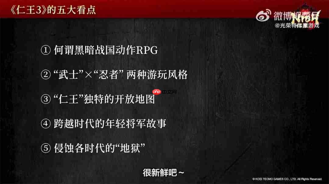 《仁王3》TGS 2025官方直播完整回放 五大看点解析