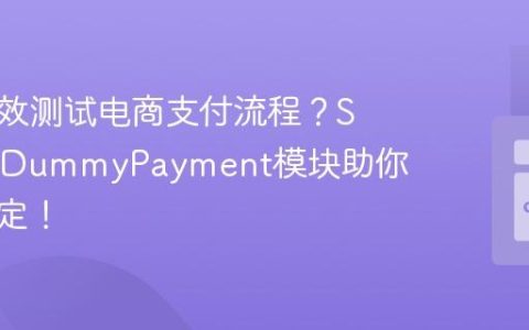 如何高效测试电商支付流程？SprykerDummyPayment模块助你轻松搞定！