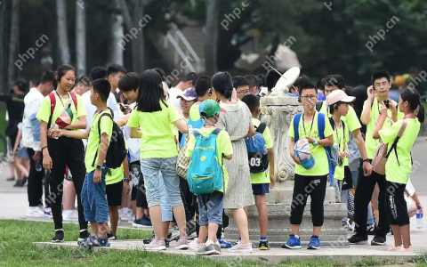 研学游市场遭遇“寒冬”：订单量“拦腰砍”，从业者改行送外卖