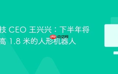 宇树科技 CEO 王兴兴：下半年将发布身高 1.8 米的人形机器人