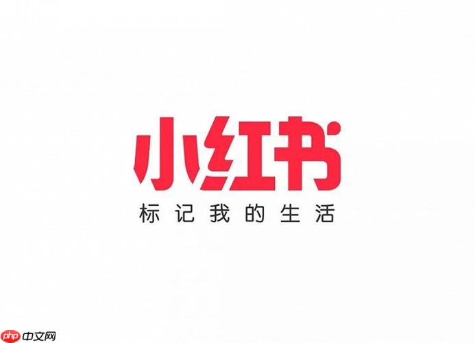 小红书商家登录官网_千帆PC端后台管理入口 - 创想鸟