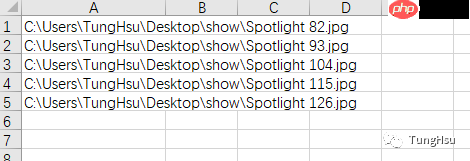 如何将文件名称批量导入excel