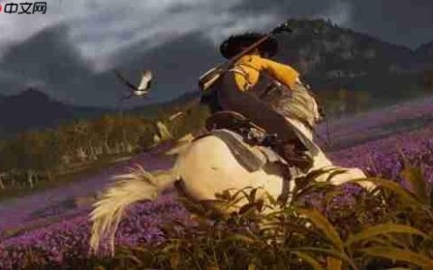PlayStation国区官方账号玩梗宣传《羊蹄山之魂》：大东北是我的家乡~