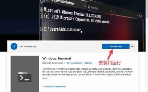 Windows Terminal 安装和运行