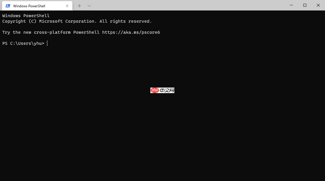 Windows Terminal 安装和运行