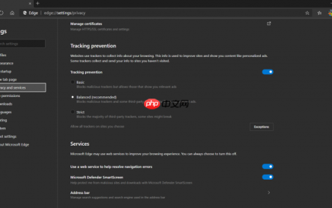 Win10 Edge Dev和Canary版启用Tracking Prevention功能