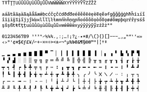 「R」使用  Cascadia Code 字体