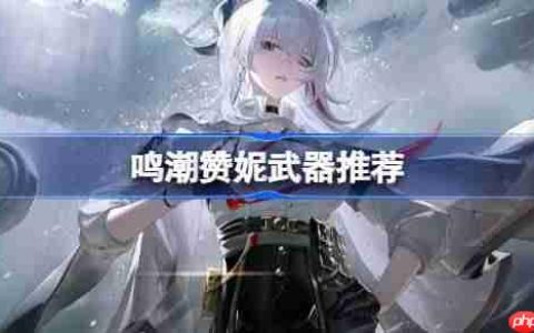 鸣潮赞妮武器怎么选-鸣潮赞妮武器推荐