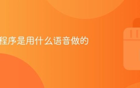 抖音小程序是用什么语音做的