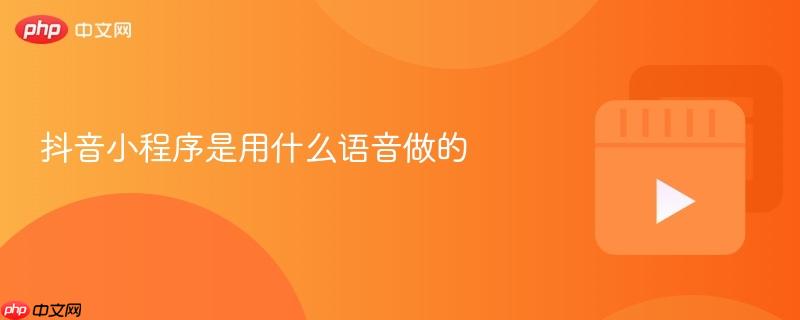抖音小程序是用什么语音做的