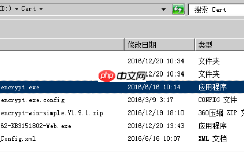 IIS 使用 Let’s Encrypt 证书部署 HTTPS 站点