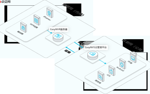 海康、大华安防摄像头网页无插件直播流媒体服务器EasyNVR-Win重启服务出现进程意外终止问题解决方案