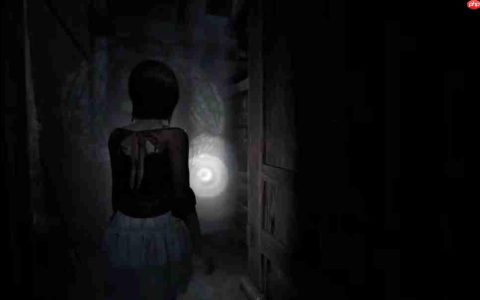 《零红蝶：重制版》新实机演示 姐妹牵手探索