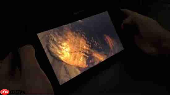 Switch2掌机玩《生化危机9》实机:画面降级但流畅