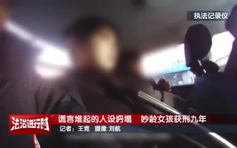 靠诈骗过富二代生活 18岁女孩被警察带走获刑8年