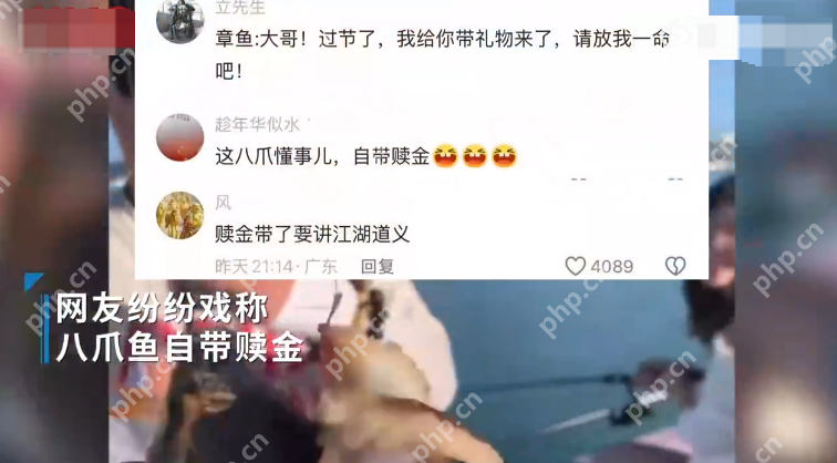 游客海钓一只八爪鱼紧抱一部手机  网友戏称“自带赎金” - 创想鸟