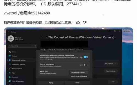 如何在 Windows 11 27744 及更高预览版中启用摄像头分辨率选项