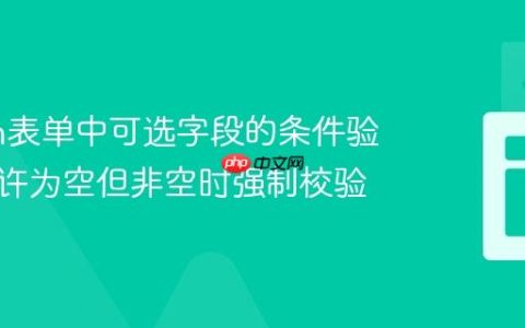 Vaadin表单中可选字段的条件验证：允许为空但非空时强制校验