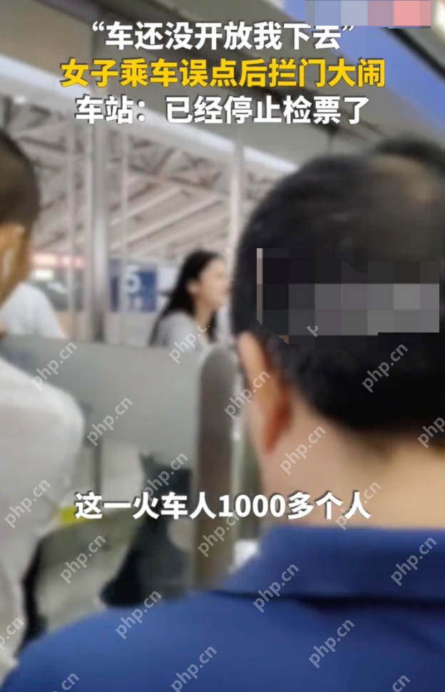 检票停止女子大闹要求放行 工作人员:一火车一千多人,没法为个人耽误 - 创想鸟