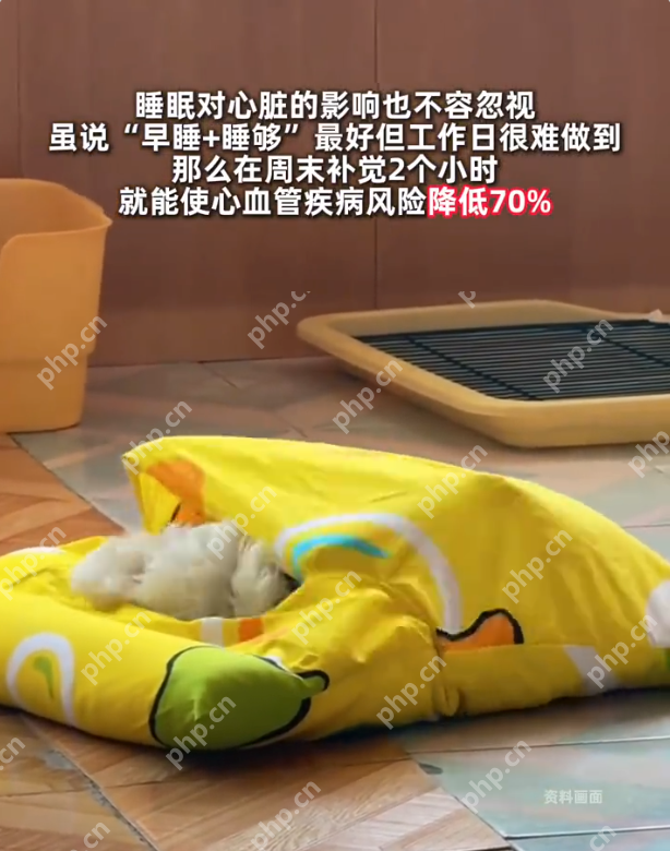 周末补觉2小时心血管患病率直降7成,双节你准备在家补觉吗? - 创想鸟