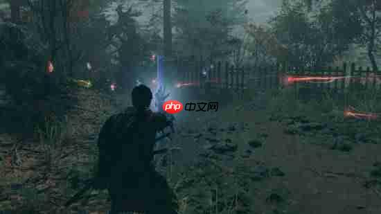 《鬼武者:剑之道》机制介绍:杀敌吸魂回复!