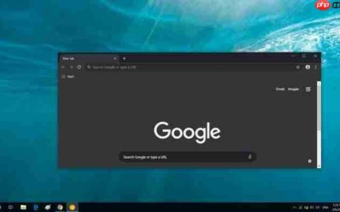 Win10系统启用Chrome浏览器V74.0的黑暗模式的方法