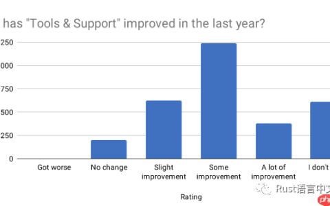 Rust 开发者的 2019 年