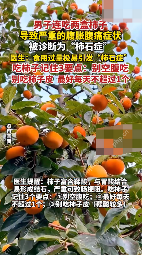 男子吃柿子致腹痛确诊柿石症是怎么回事?详情介绍 - 创想鸟